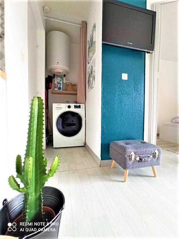 Appartement Cosy A Deux Pas Du Port Saint-Cyprien  Buitenkant foto